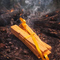 Palo Santo Smudge Sticks (2 Sticks): Cleansing Holy Wood