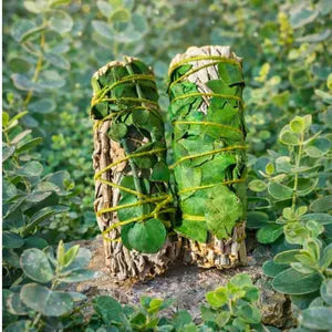Sage with Eucalyptus Lemon Smudge Sticks 4” (Single)